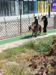 -萌宠亲子动物乐园(槐房万达店)