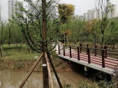 -沐仙湖湿地公园