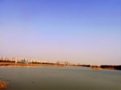-贡湖湾湿地公园