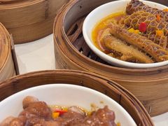 -东方御宴海鲜酒楼(棕泉酒店)