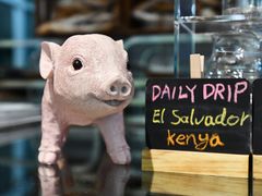 -WHEN PIGS FLY当猪飞