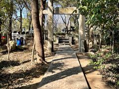 -上海佘山国家森林公园天马山园