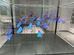 -酷嗒动物文化乐园(cutezoo西溪乐天城店)