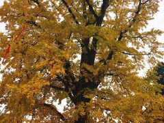 -金堂县云顶石城风景区