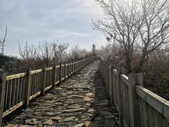 -定都阁