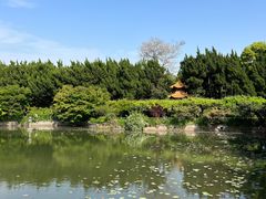 -嘉定紫藤园