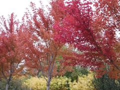 -财经大学学生公寓食堂