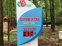 -东平国家森林公园