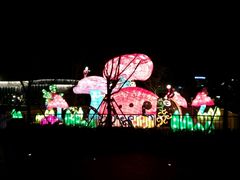 -湖州太湖旅游度假区-月亮广场