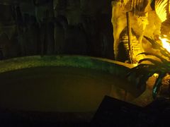 -盛泰恐龙谷温泉