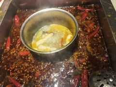 -二荆条·蜀鲜汇城市森林火锅