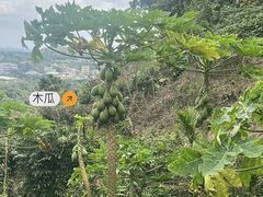 -海口火山口国家地质公园