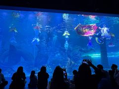 -波塞冬旅游度假区