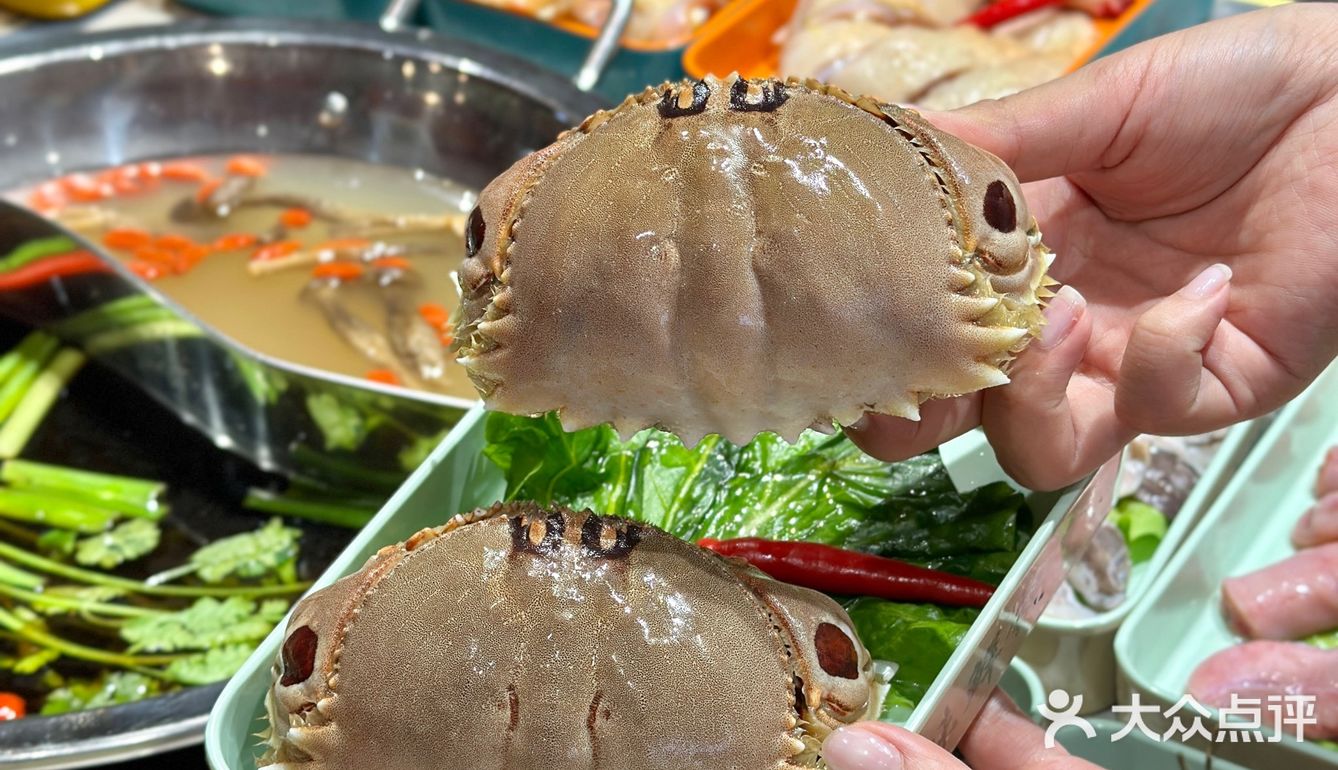 自选海鲜集市火锅‼️感谢南澳朋友带我吃