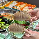 自选海鲜集市火锅‼️感谢南澳朋友带我吃