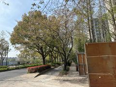 -新江湾城公园