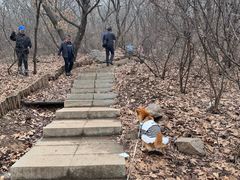 -沈阳辉山风景区