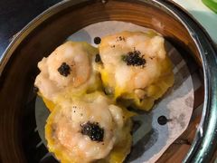 -糖朝(尖沙咀店)