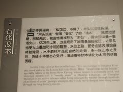 -吉林市博物馆