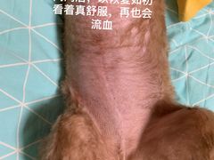 -瑞派·关忠动物医院(国瑞店)
