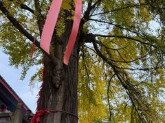 -金堂县云顶石城风景区