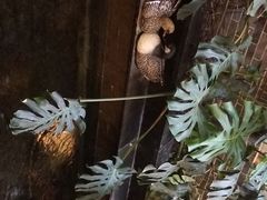 -福禧酒窖·中餐厅 (万柳店)