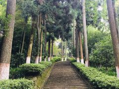 -莫干山风景区