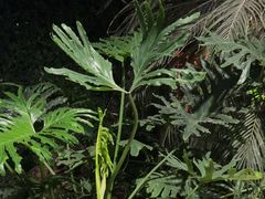 -金稼园·金平湖农家菜