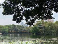 -荔湾湖公园