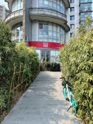 -酉嘉瑜伽YO+YOGA