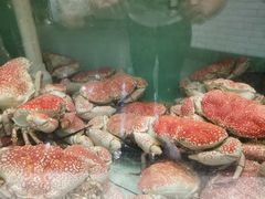 -悉尼鱼市场