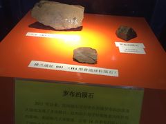 -紫金山天文台