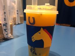 -春丽小马(济南恒隆广场店)