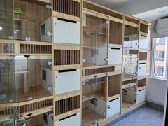 -爱洗澡的猫(望京店)