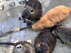 -水上乐园·欢乐世界