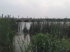 -长春市南湖公园