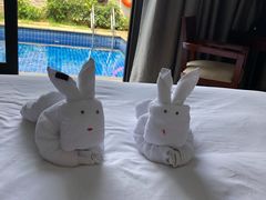 -三亚亚龙湾雅高铂尔曼别墅度假酒店