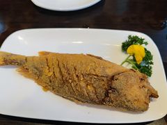 -老牌坊鲁菜名店(聊城美食岛店)