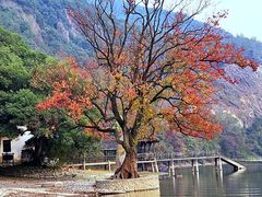 -富春桃源风景区