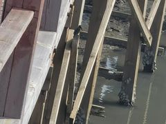 -北海金海湾红树林生态旅游区