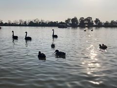 -艾溪湖湿地公园
