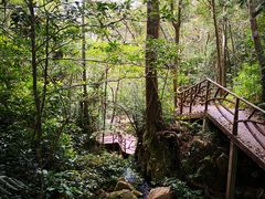 -海南热带雨林国家公园吊罗山景区