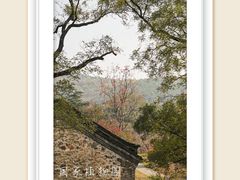 -国家植物园