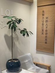 -可樱汇·美容洗发SPA