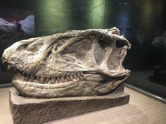 -自贡恐龙博物馆