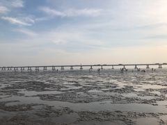 -南汇新城海滩