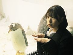 -大连圣亚海洋世界