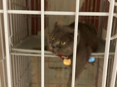 -SeekSeeking咖啡专门店(堰塘街店)