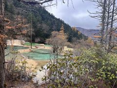 -黄龙山原始森林景区