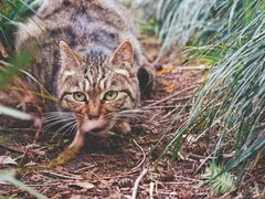 -上海植物园-4号门售票处